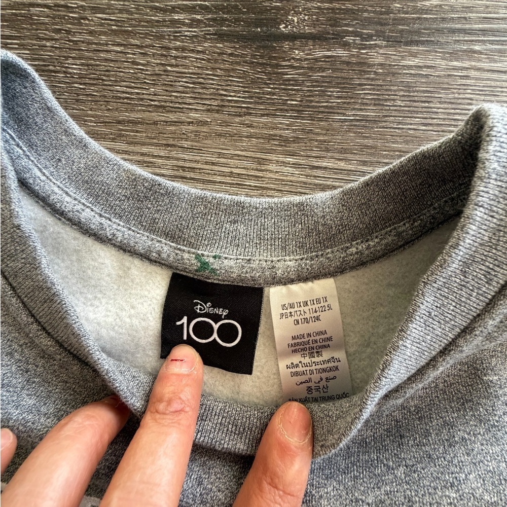 Disney 100 Gray Sweatshirt - Picture 2 of 3